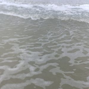 Meet your Posher, Johnny